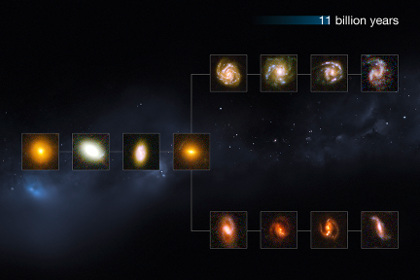 Составленная учеными схема с классификацией древних галактик