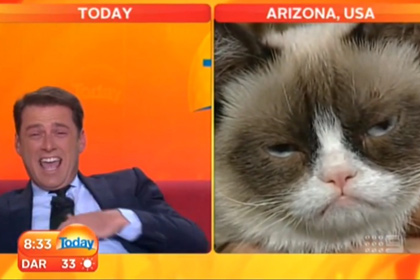 Сердитый котик дал эксклюзивное интервью австралийскому телеканалу 