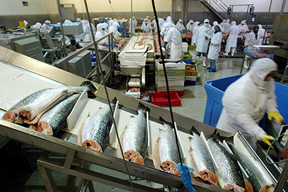 Россельхознадзор обвинили в дискриминации норвежских рыбных компаний