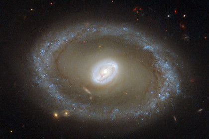 Фотография галактики NGC 3081, составленная из комбинации инфракрасных, оптических и ультрафиолетовых снимков