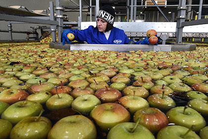 Россельхознадзор пустил молдавские яблоки в Россию