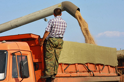 Правительство отменило экспортную пошлину на пшеницу