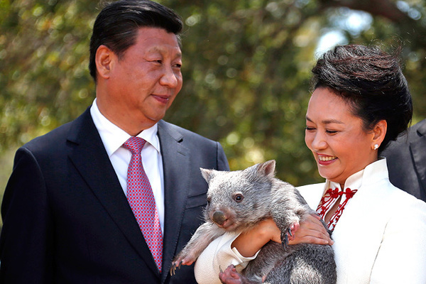 Си Цзиньпин с супругой во время визита в Австралию, 17 ноября 2014 года