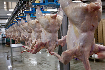 Россельхознадзор запретил поставки мяса птиц с турецкого предприятия