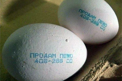 Директор челябинской птицефабрики разместил объявление на яйцах
