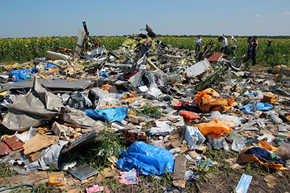 Стала известна дата объявления результатов следствия по гибели MH17 в Донбассе