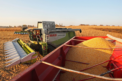 Россия побьет абсолютный рекорд времен СССР по урожаю зерна