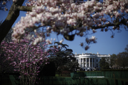 Первая леди США потребовала спилить самое старое дерево перед Белым домом