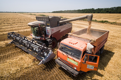 Россия стала рекордсменом по экспорту пшеницы в XXI веке