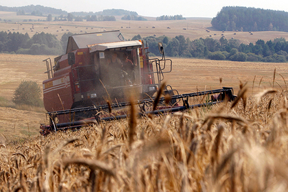 Россия договорилась с Китаем о поставках пшеницы