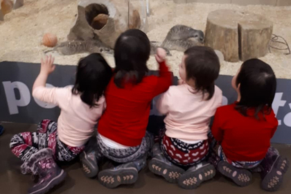 Российских детей с синдромом Дауна отказались пустить в контактный зоопарк