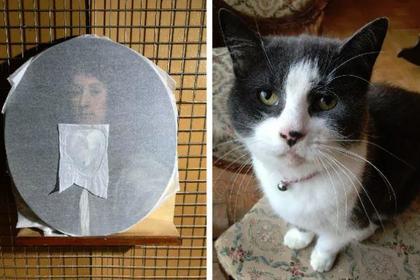Кошка искусствоведа испортила картину за полмиллиона рублей