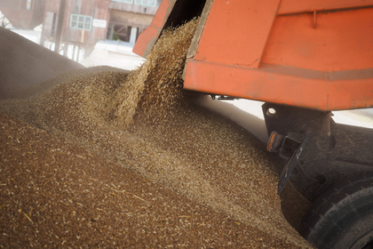 Россия задумала подарить Северной Корее тысячи тонн пшеницы
