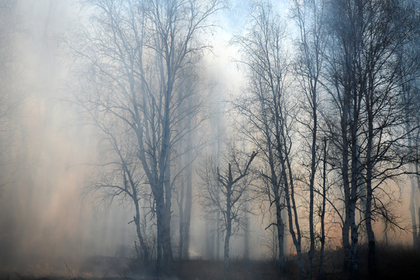 От степных пожаров в Забайкалье пострадали почти 650 человек