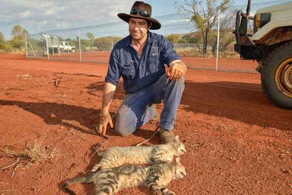 Сотрудник организации «Охрана дикой природы Австралии»