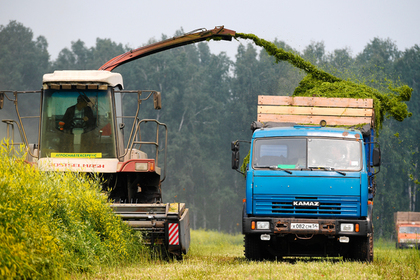 На помощь аграриям в экспорте задумали направить миллиарды рублей