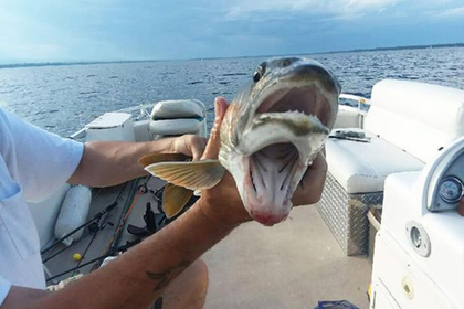 Женщина поймала рыбу с двумя ртами