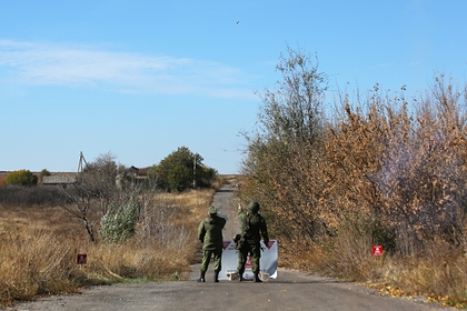 ВСУ уничтожили пятерых националистов в Донбассе