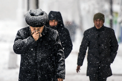 Россиянам рассказали о правилах лечения насморка