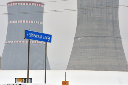 Президент Литвы назвал Белорусскую АЭС современным Чернобылем