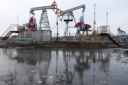 Названы плюсы и минусы для России от рекордной сделки по нефти