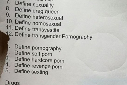 Школьникам пришлось посмотреть жесткое порно ради домашнего задания