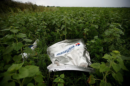 Стало известно о новых свидетелях в деле Boeing MH17