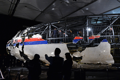 В России прокомментировали обвинения Нидерландов по сбитому Boeing