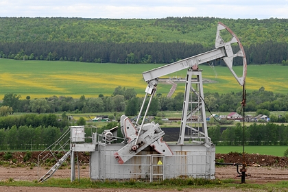 В России оценили вероятность обрушения цен на нефть до 10 долларов за баррель