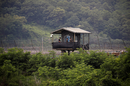 Гимнаст сбежал из Северной Кореи прыжком через трехметровый забор