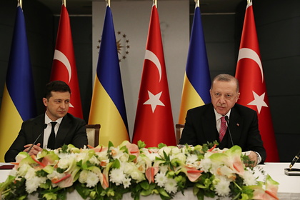 Эрдоган высказался за членство Украины в НАТО