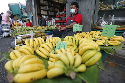 Мир предупредили о полном исчезновении бананов