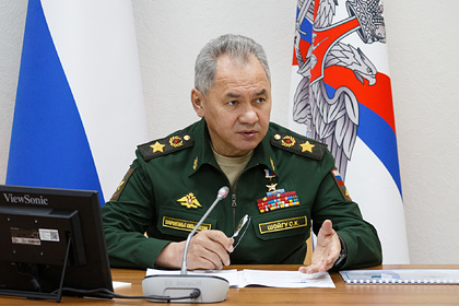 Шойгу сообщил о создании новой дивизии на юге России