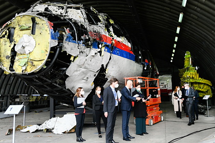Раскрыты результаты экспертизы останков пилота MH17
