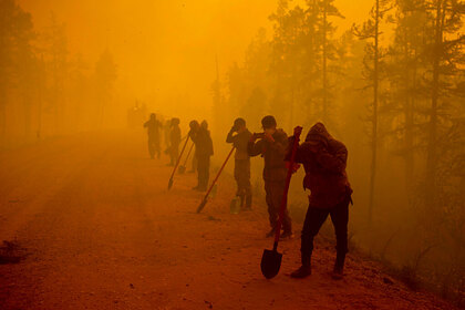 Лесные пожары в России оказались масштабнее всех остальных в мире