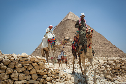 В России прокомментировали возможность закрытия Египта для туристов