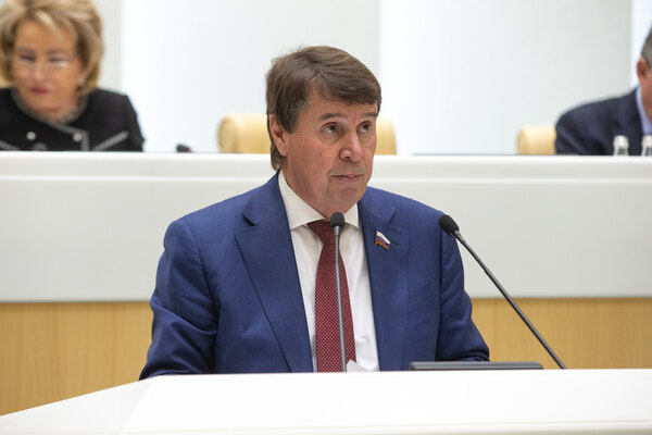 Сенатор от Крыма оценил вероятность решения Зеленского атаковать полуостров