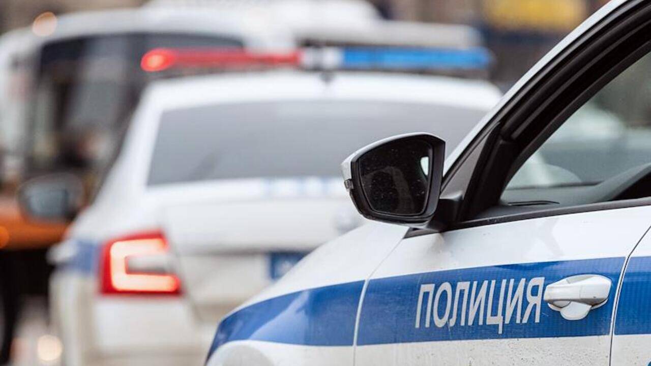 Устроившие драку в переходе в центре Москвы задержаны