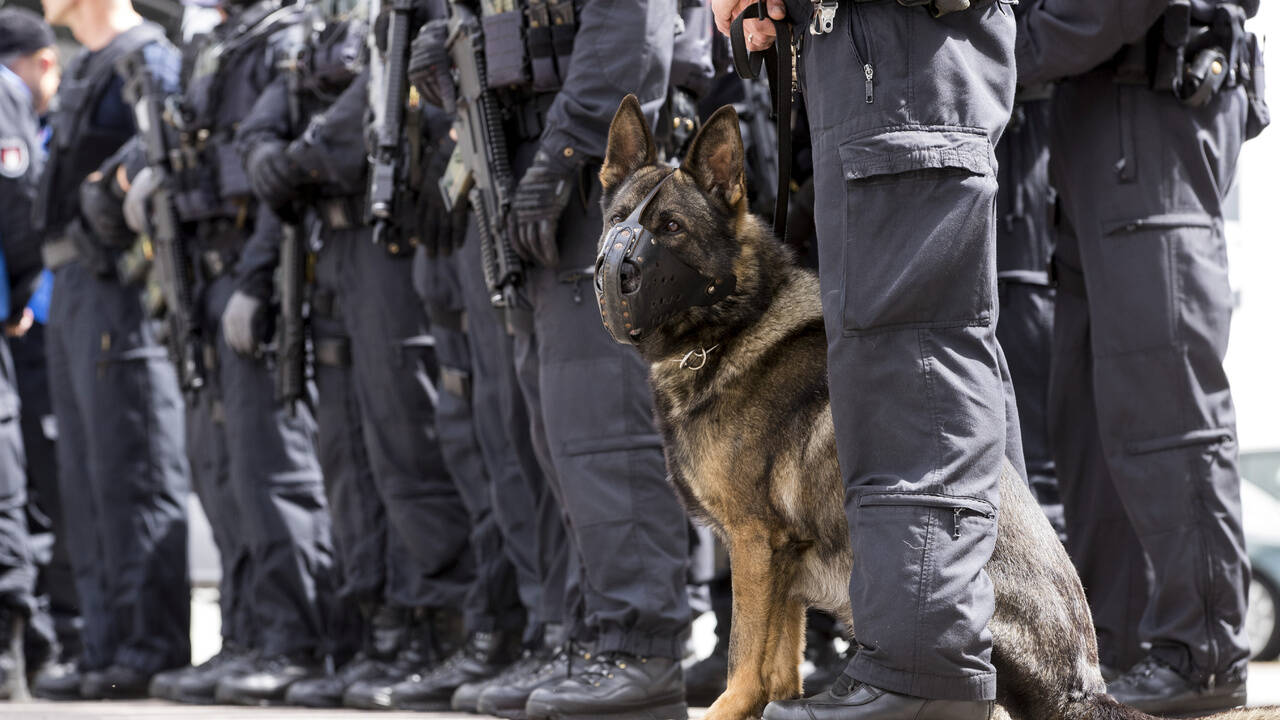 Немецких полицейских собак отстранили от службы