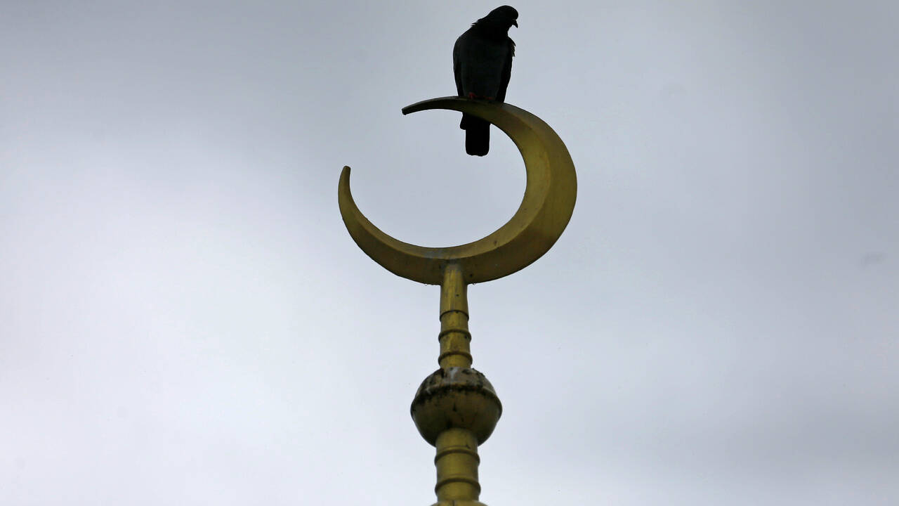 Франция захотела избавить ислам от экстремизма