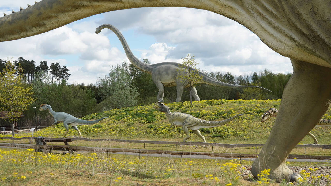 Ученые впервые смоделировали походку динозавров