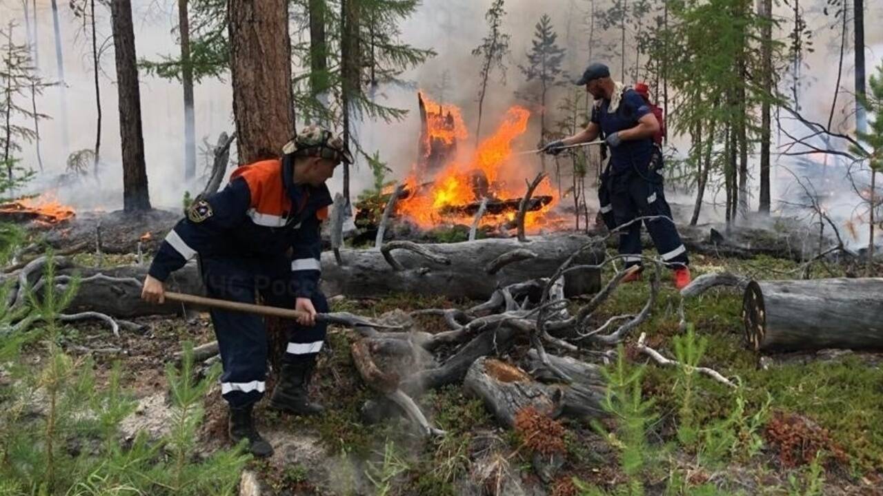 Госдума одобрила законопроект о 10-кратном увеличении штрафов за лесные пожары