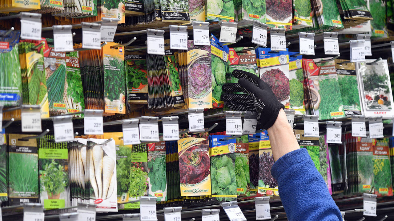 В России заметили рост спроса на семена овощей и зелени