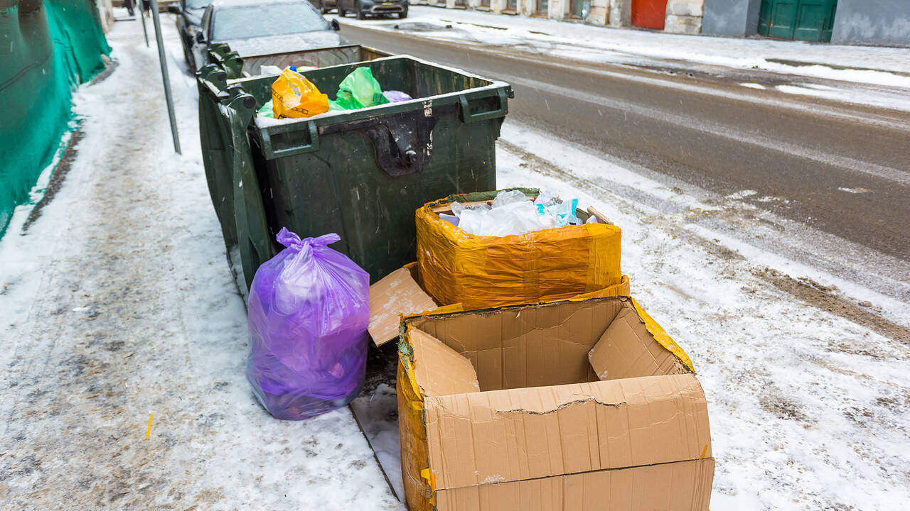 Жители российского города не смогли выпросить мусорный бак