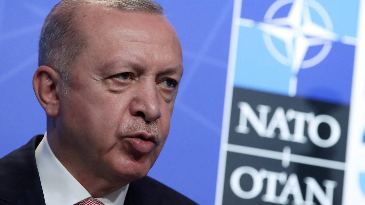 Турция отреагировала на возможное вступление Финляндии и Швеции в НАТО