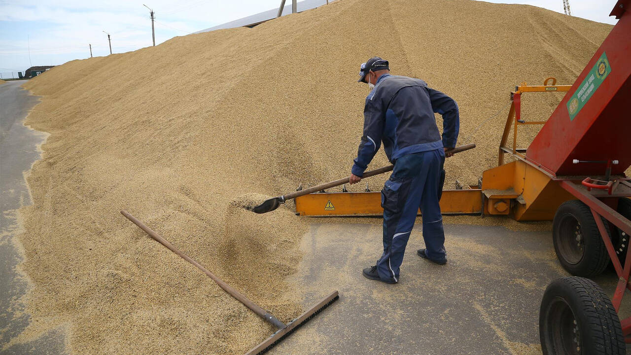Киев потребовал от Москвы гарантий безопасности для вывоза зерна
