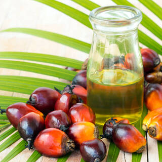 Мир решил вернуться к потреблению пальмового масла