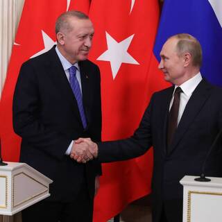 Путин и Эрдоган обсудят вывоз украинского зерна