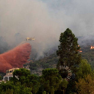 Поезд с пассажирами в Испании попал в ловушку лесного пожара