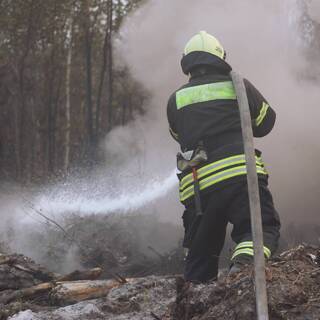 Рослесхоз объявил о ликвидации всех лесных пожаров на Дальнем Востоке